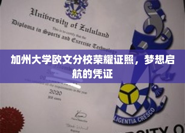 加州大学欧文分校荣耀证书，梦想起航的坚实凭证