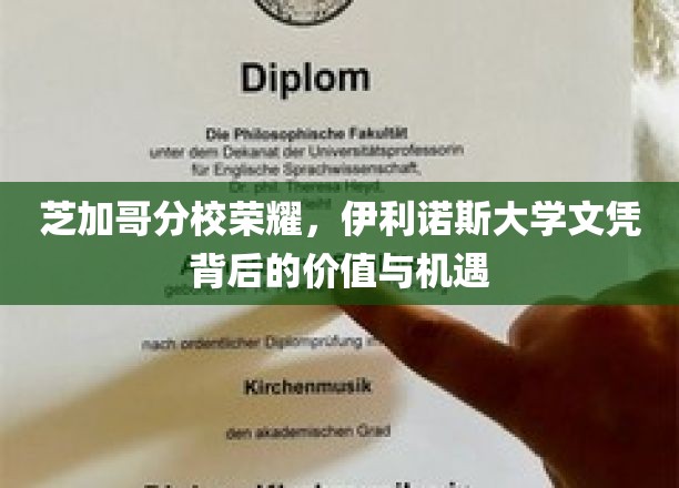 芝加哥分校荣耀，伊利诺斯大学文凭背后的价值与机遇