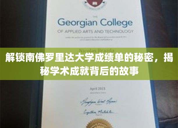 解码南佛罗里达大学成绩单，探寻学海无涯的璀璨足迹