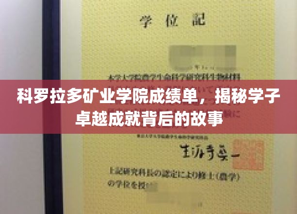 科罗拉多矿业精英，揭开学子辉煌背后的奋斗轨迹