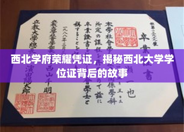 西北学府荣耀凭证，揭秘西北大学学位证背后的故事