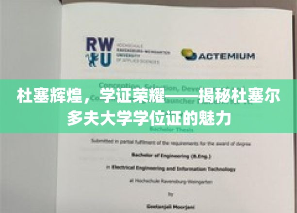 杜塞尔多夫荣耀证照，探寻德意志学府的学位魅力之光