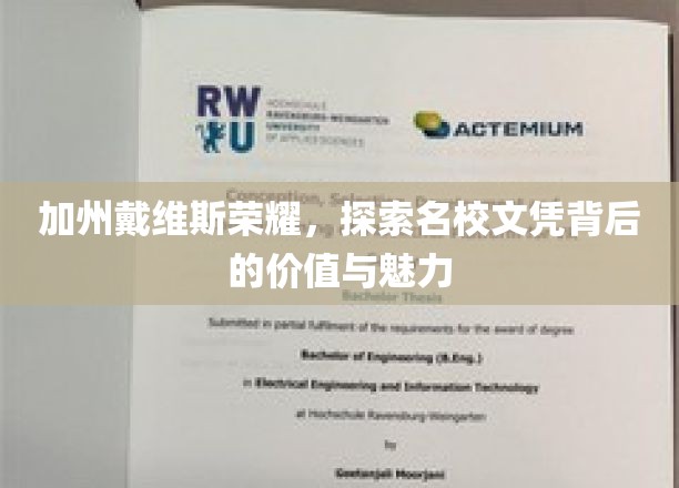 戴维斯之光，解码加州名校文凭的非凡价值与独特魅力