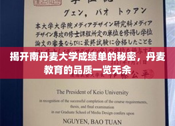 解码南丹麦大学成绩单，窥见丹麦教育卓越品质全貌