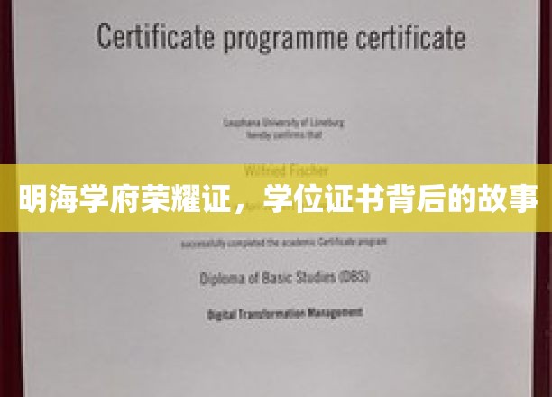 荣耀证章背后的传奇，明海学府的学位之谜
