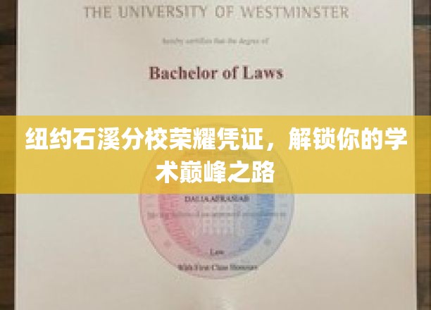 石溪分校荣耀通行证，开启学术巅峰之旅
