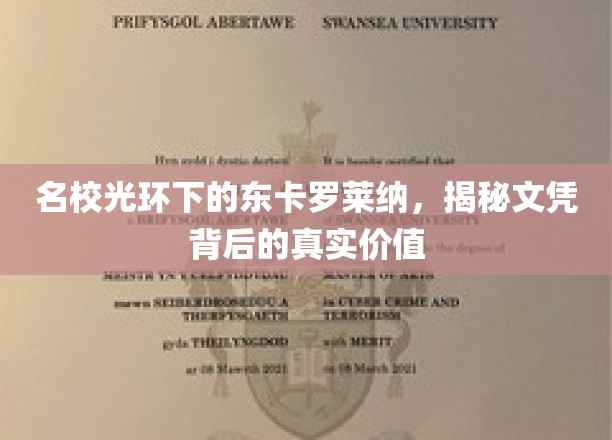 探寻东卡罗莱纳名校背后的文凭含金量，揭秘真实教育力量