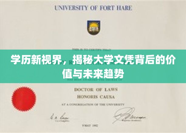 学历新篇章，解码文凭价值与未来教育风向标