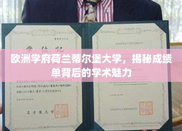荷兰蒂尔堡大学，一窥成绩单背后的学术风采与魅力