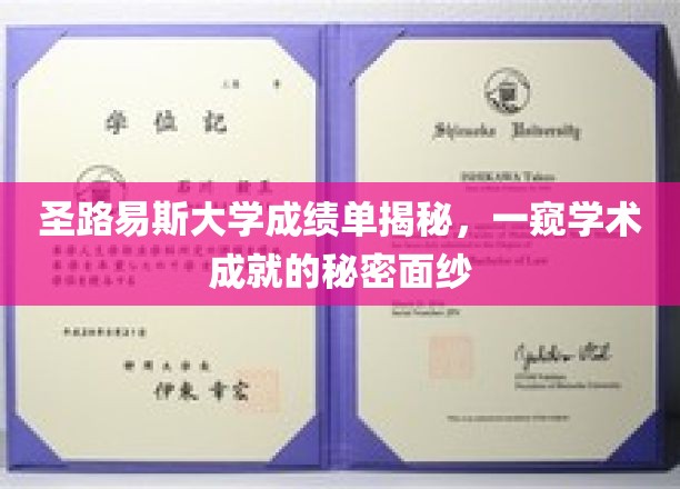 圣路易斯大学成绩单揭秘，一窥学术成就的秘密面纱