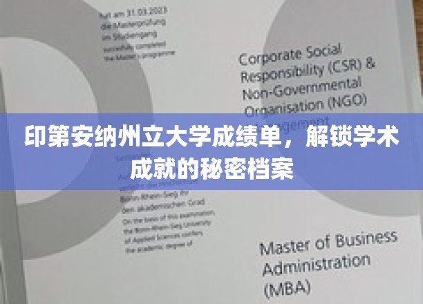 印第安纳州立大学成绩单，揭秘学术成就的秘密档案