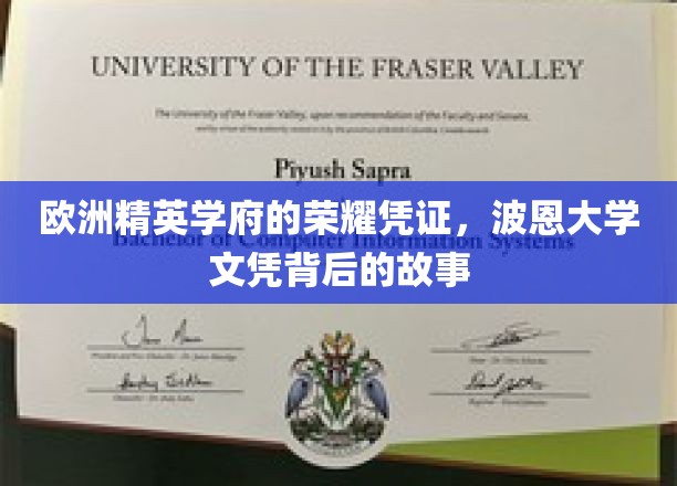 欧洲精英学府的荣耀凭证，波恩大学文凭背后的故事