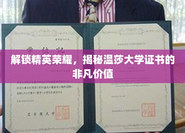精英成就见证，探寻温莎大学证书的卓越魅力