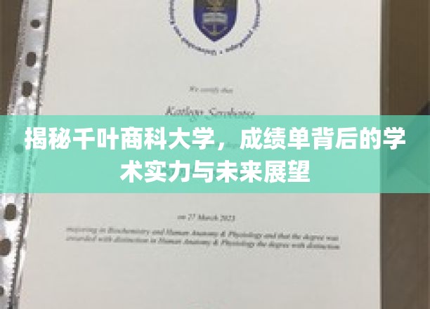 千叶商科大学，成绩单背后的学术魅力与无限潜能