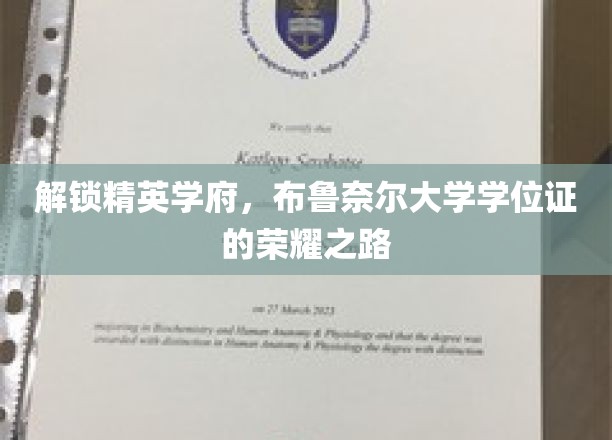 迈向卓越殿堂，布鲁奈尔大学学位证的非凡征程