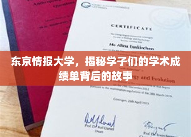 揭开东京情报大学学子成绩单背后的励志篇章