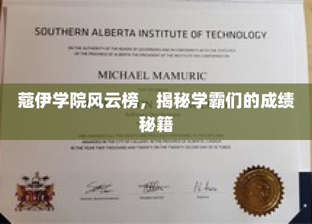 蔻伊学霸风云录，揭秘高效学习背后的秘密武器