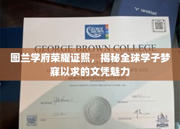 图兰学府荣耀证照，揭秘全球学子梦寐以求的文凭魅力