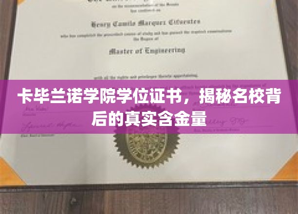 解码卡毕兰诺学院，探究名校学位证书的内在价值