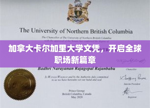 加拿大卡尔加里大学文凭，开启全球职场新篇章
