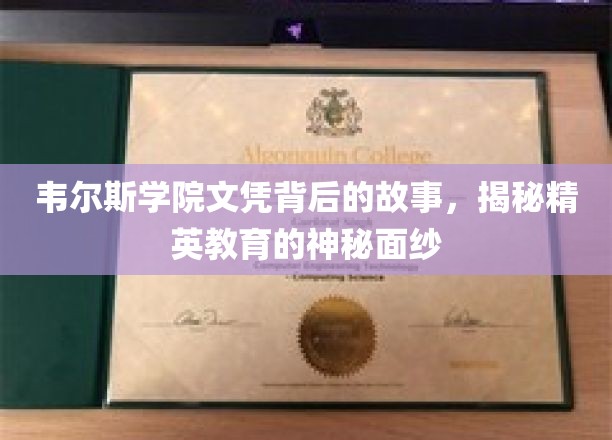 揭开韦尔斯学院文凭的传奇面纱，揭秘精英教育的真实面貌