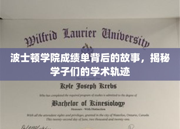 解码波士顿学子，成绩单背后的学术传奇轨迹
