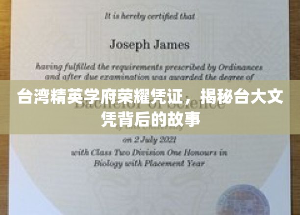 解码台大荣耀，探寻精英学府的文凭传奇