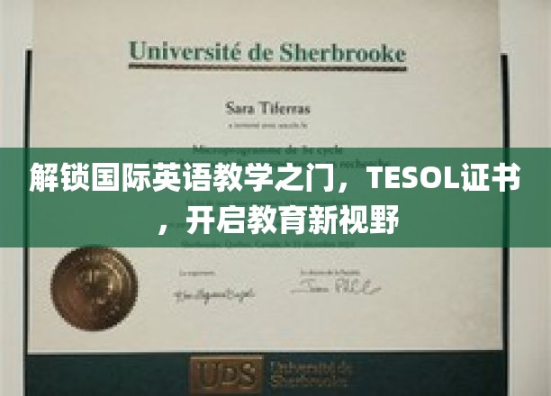 解锁国际英语教学之门，TESOL证书，开启教育新视野