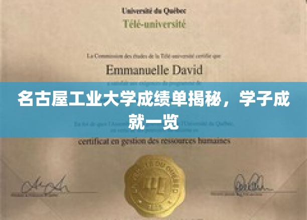 名古屋工大学子风采展，揭秘辉煌成绩单背后的努力与荣耀