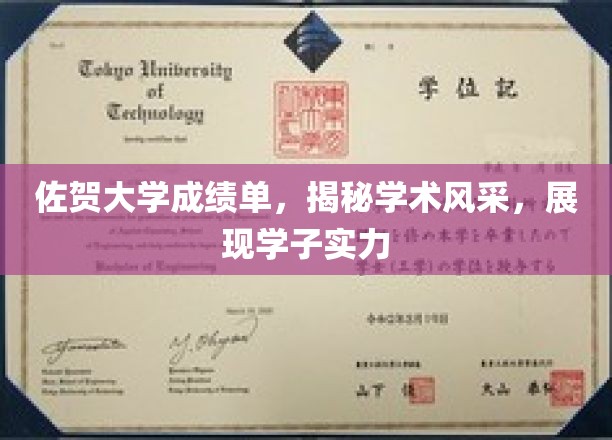 佐贺大学学子风采展，成绩单背后的学术实力揭秘