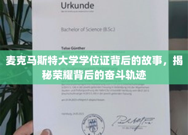 麦克马斯特大学学位证背后的故事，揭秘荣耀背后的奋斗轨迹