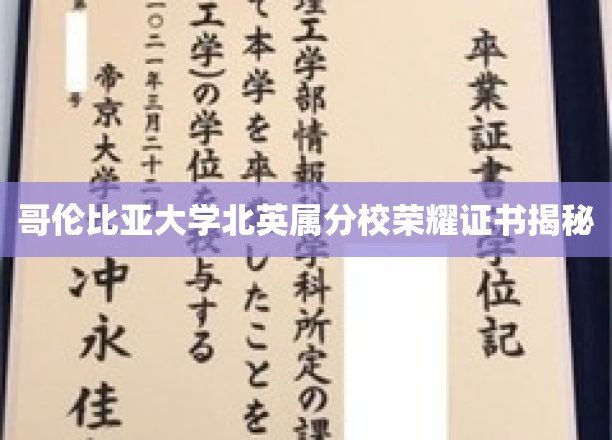 哥伦比亚大学北英属分校独家荣耀证书背后的故事