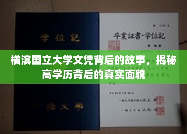 横滨国立大学文凭背后，揭秘高学历背后的真实世界