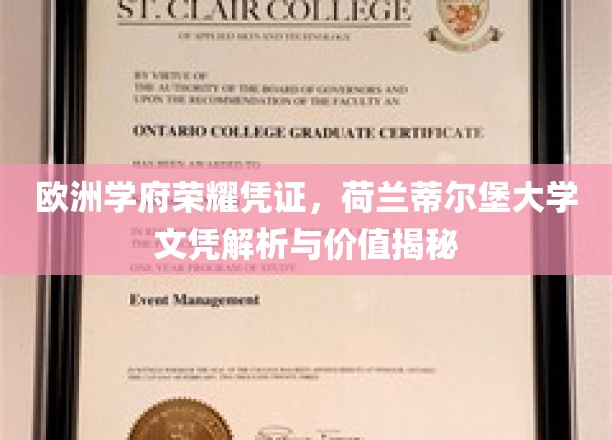 欧洲学府荣耀凭证，荷兰蒂尔堡大学文凭解析与价值揭秘