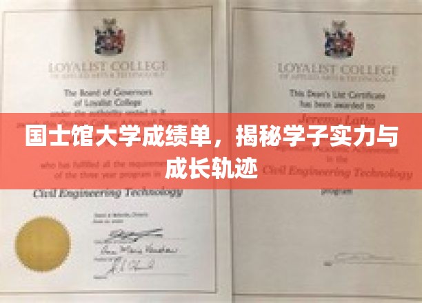 国士馆大学学子画像，成绩单背后的实力与成长之路