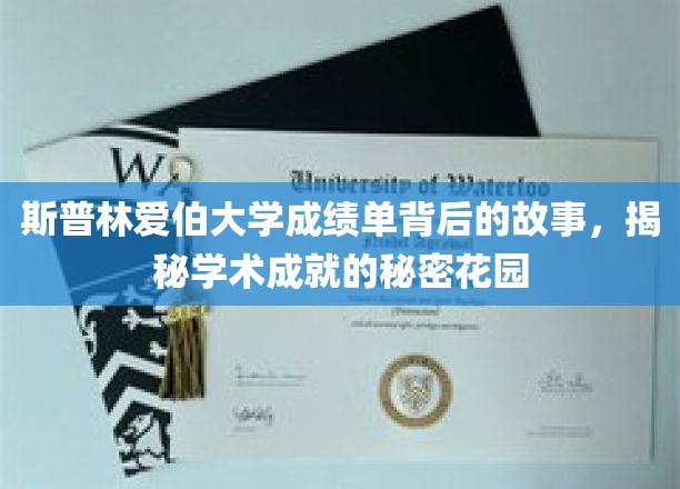 探寻斯普林爱伯大学成绩单背后的奥秘，揭开学术成就的璀璨花园