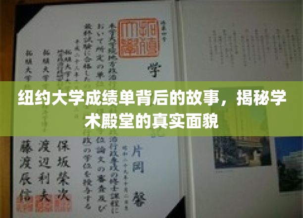 探寻纽约大学成绩单背后的秘密，揭秘精英学府的学术真实面纱