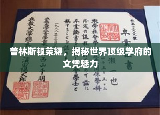 普林斯顿光环，解码顶尖名校文凭的非凡吸引力