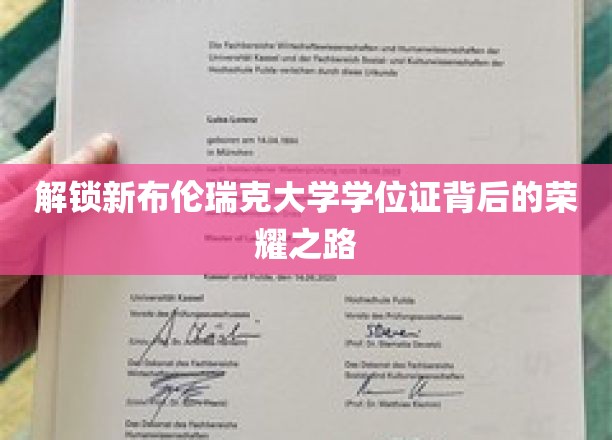 解锁新布伦瑞克大学学位证背后的荣耀之路