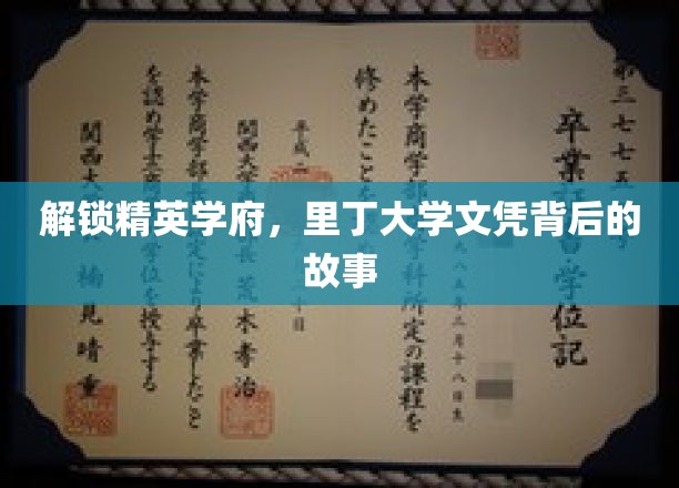 探索精英学府，里丁大学文凭背后的故事