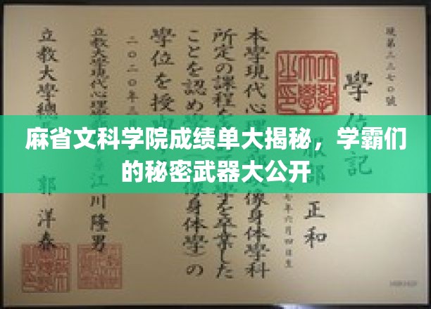 麻省学霸养成记，揭秘文科学院成绩单背后的神秘力量