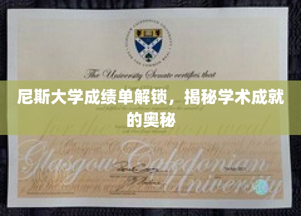 解锁尼斯大学成绩单，探索学术卓越的秘密钥匙
