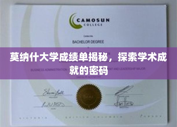 解码莫纳什，揭秘优秀成绩背后的学术秘籍