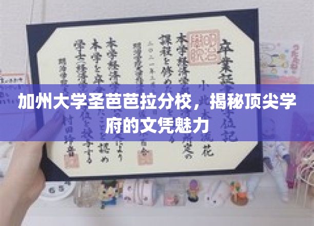 解码加州大学圣芭芭拉分校，文凭背后的名校风采