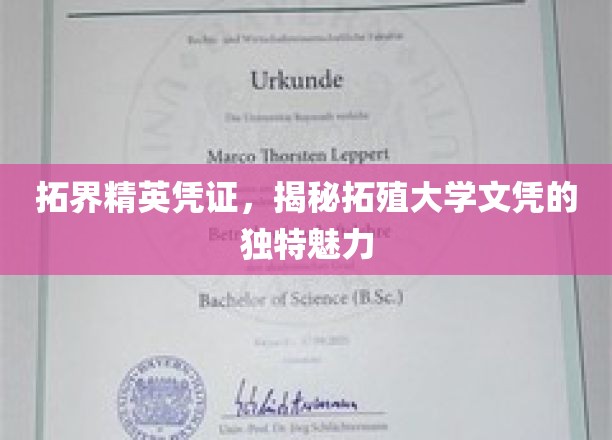 解锁拓界精英通行证，揭秘拓殖大学文凭的非凡吸引力