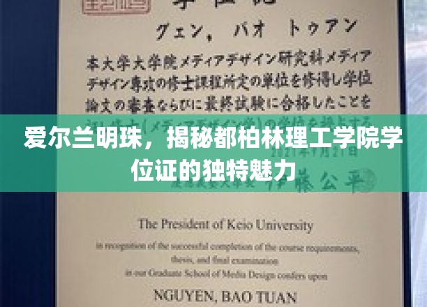 爱尔兰明珠，探寻都柏林理工学院学位证的独特魅力