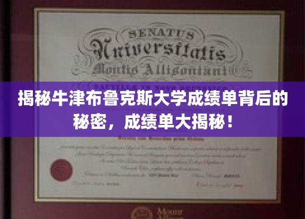 探索牛津布鲁克斯大学成绩单的神秘面纱，背后的故事与真相
