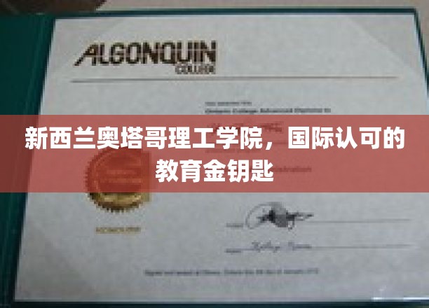 解锁全球视野，新西兰奥塔哥理工学院，国际教育新篇章