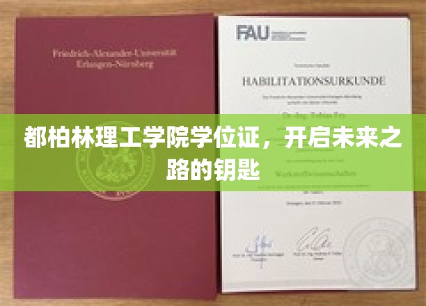 解锁未来之门，都柏林理工学院学位证，成就非凡人生起点