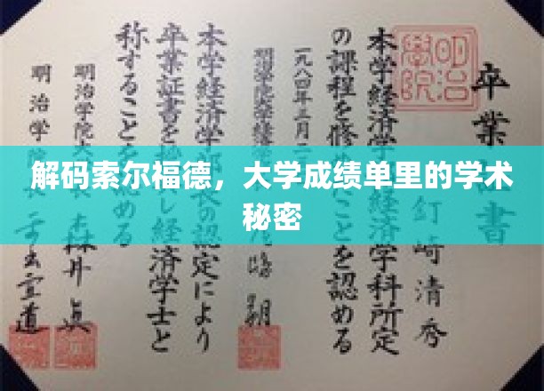 探索索尔福德，揭开大学成绩单背后的学术奥秘